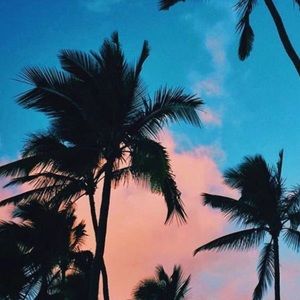 Meet your Posher, Annie